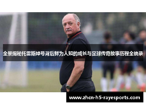 全景揭秘托雷斯绰号背后鲜为人知的成长与足球传奇故事历程全貌录