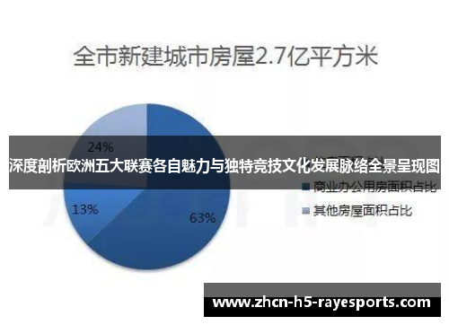 深度剖析欧洲五大联赛各自魅力与独特竞技文化发展脉络全景呈现图
