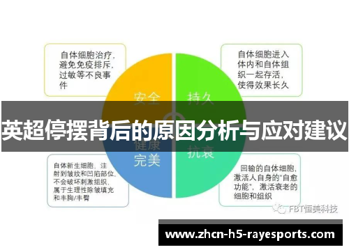 英超停摆背后的原因分析与应对建议