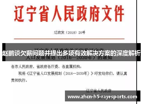 赵鹏谈欠薪问题并提出多项有效解决方案的深度解析